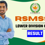 Rajasthan LDC Result 2024